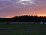 Summer sunset, Finland